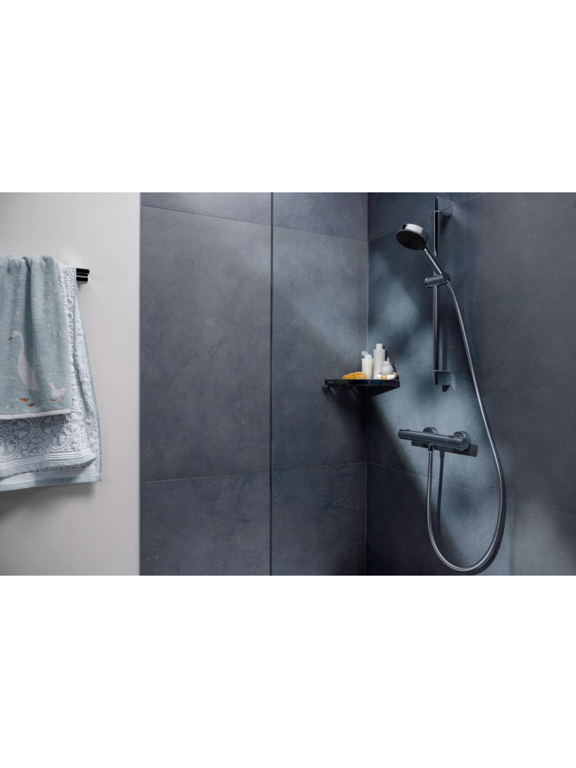 Termostatas dušui Hansgrohe Ecostat Fine 1 Termostatas dušui Hansgrohe Ecostat Fine 1