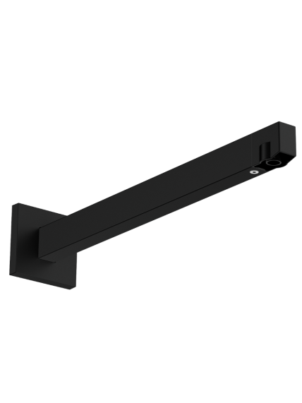 Potinkinės sistemos komplektas Hansgrohe Raindance Alive S Design ShowerSet 300 1jet 42