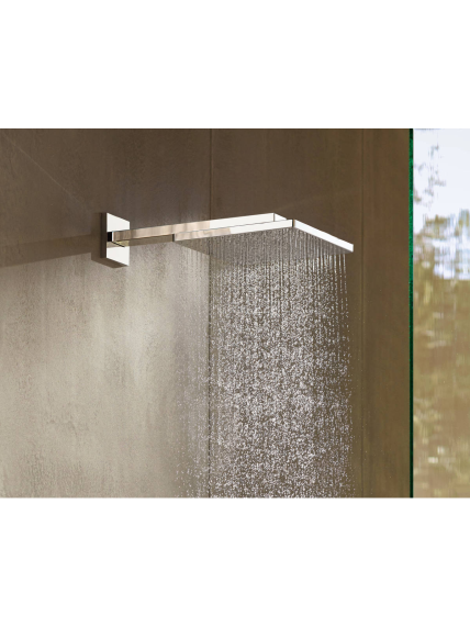 Dušo galva Hansgrohe Raindance E 300 6