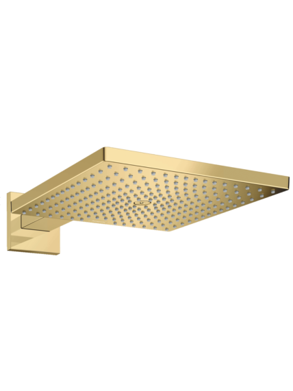 Dušo galva Hansgrohe Raindance E 300 14