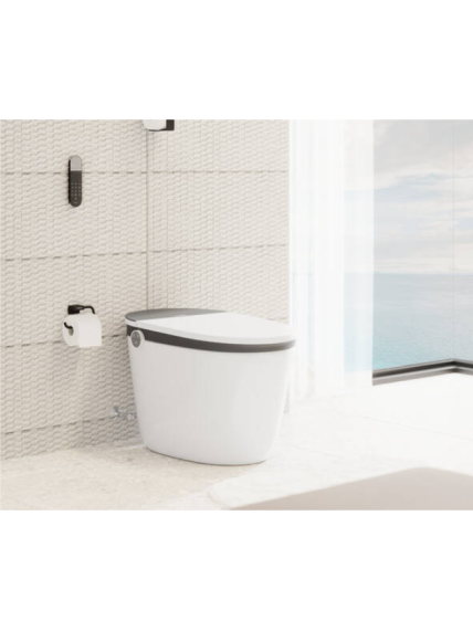 Tualetinio popieriaus laikiklis Hansgrohe AddStoris 8