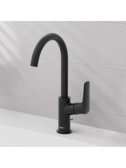 Maišytuvas praustuvui Hansgrohe Logis 210 6
