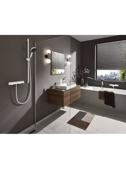 Maišytuvas praustuvui Hansgrohe Vivenis 110 2